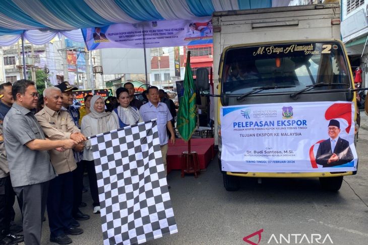 Menteri Perdagangan lepas ekspor keripik pisang kepok Tebing Tinggi