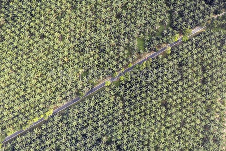 Arus mudik jalur alternatif Jambi-Sumbar