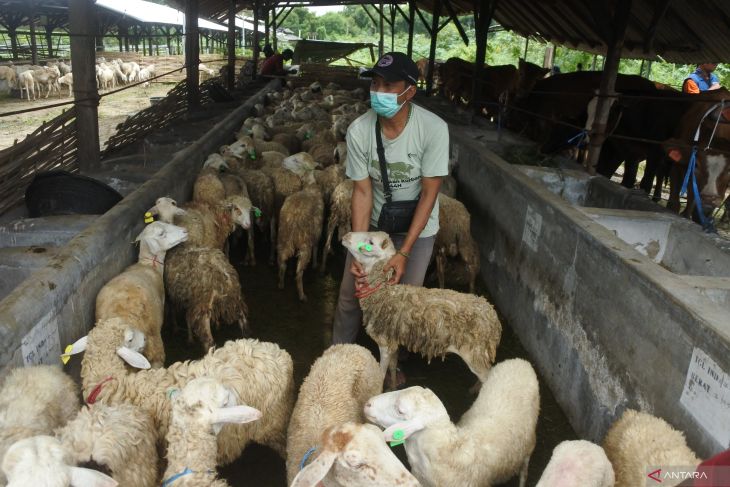 Kompensasi kerohiman Bandara KASA
