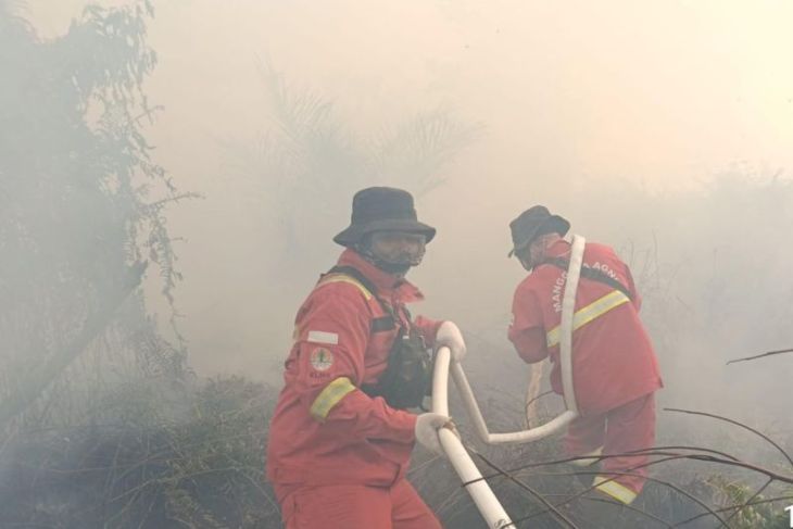 Kemenhut kerahkan Manggala Agni padamkan karhutla di habitat harimau sumatera