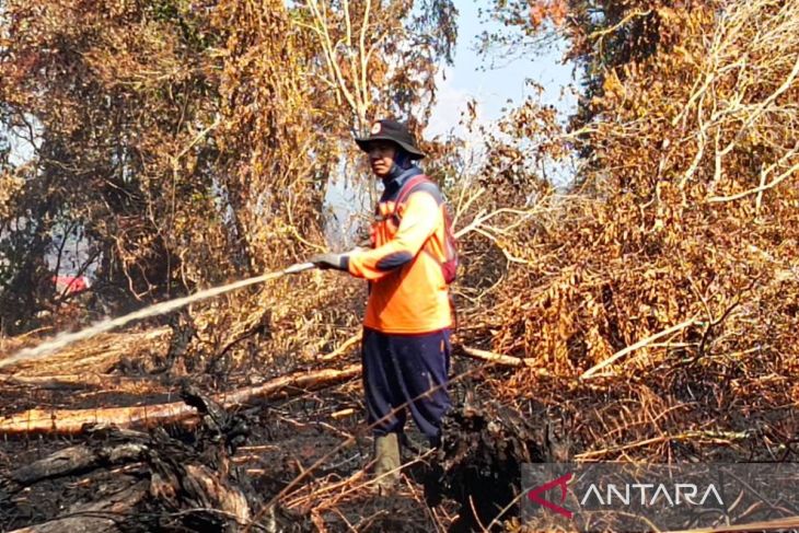BPBD Aceh Barat kerahkan personel padamkan karhutla di dua desa