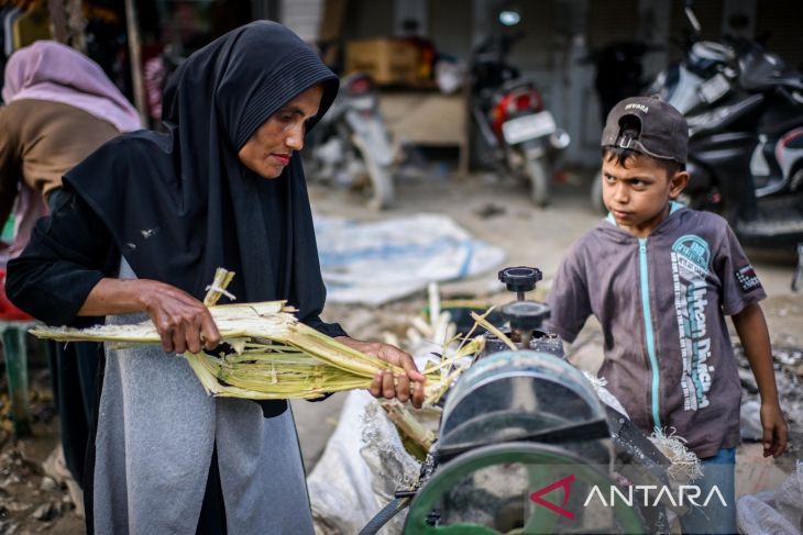 Mengobati luka bencana dengan air tebu