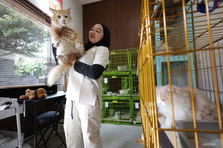 Jasa penitipan hewan peliharaan di Kediri