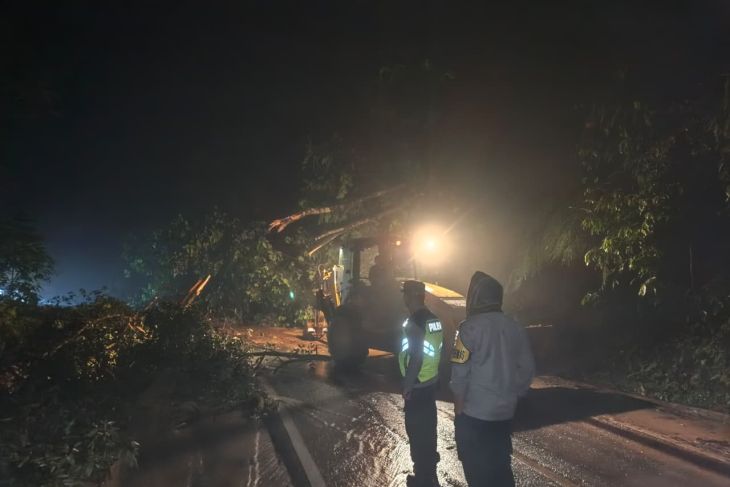 Jalan lintas Sungai Penuh-Tapan sempat hambat akses, kini sudah bisa dilalui pascalongsor