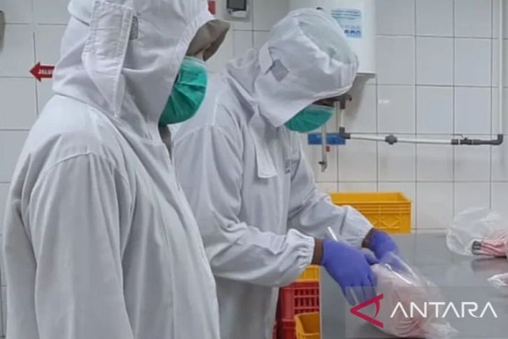 BKHIT Maluku pastikan ikan bebas virus melalui uji laboratorium