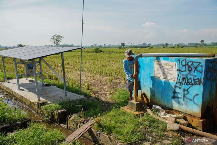 Antisipasi El Nino di sektor pertanian - Foto ANTARA News Jawa Timur