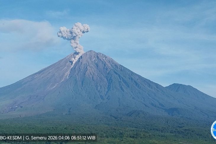 Semeru tujuh kali erupsi dengan tinggi letusan hingga 1.100 meter
