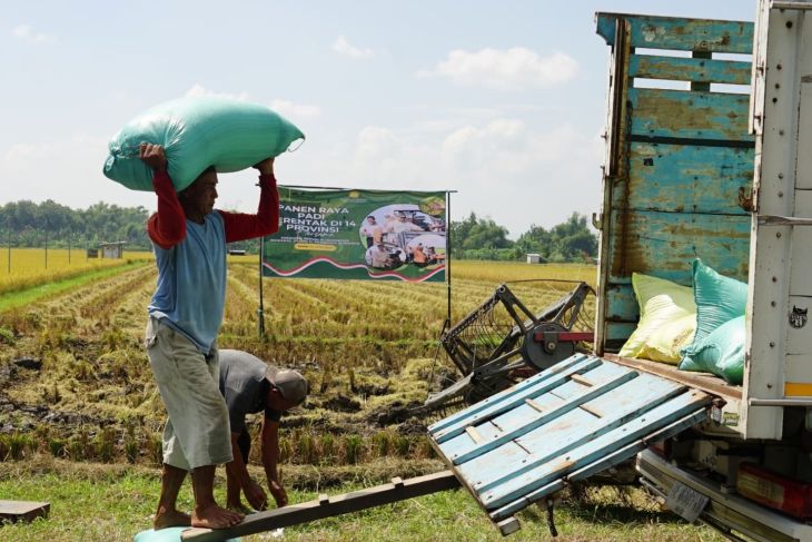Sektor pertanian-kehutanan sumbang PDRB Madiun Rp27,48 M pada 2025