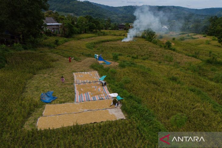 Indonesia's strong domestic output cushions food security: Bapanas