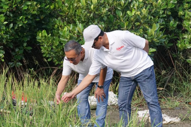 ITS-BRIDA inisiasi laboratorium hidup mangrove di Surabaya