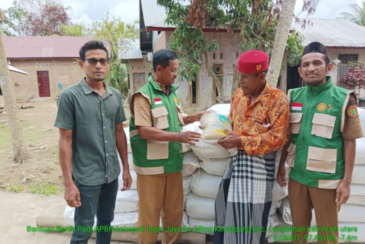 Aceh Utara dapat bantuan benih padi 149 ton pacu pemulihan ekonomi