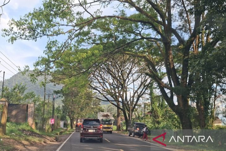 Puncak-Haurwangi Rawan Pohon Tumbang, Polisi Pasang Rambu Peringatan!