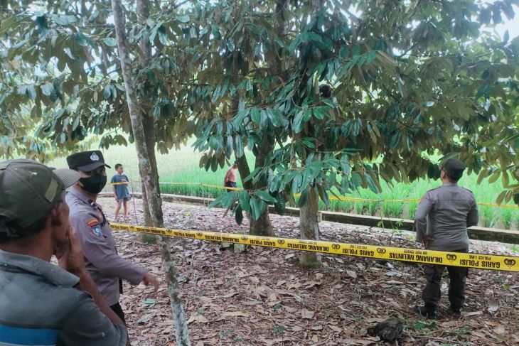 Polres Tabalong olah TKP penemuan mayat diduga gantung diri