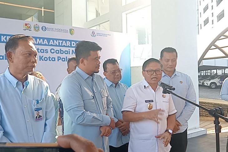 Karo perkuat posisi pemasok cabai merah, Komando Tarigan: KAD dongkrak harga petani