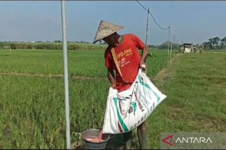 Pemkab Ngawi pastikan stok pupuk subsidi aman hingga akhir tahun 2026