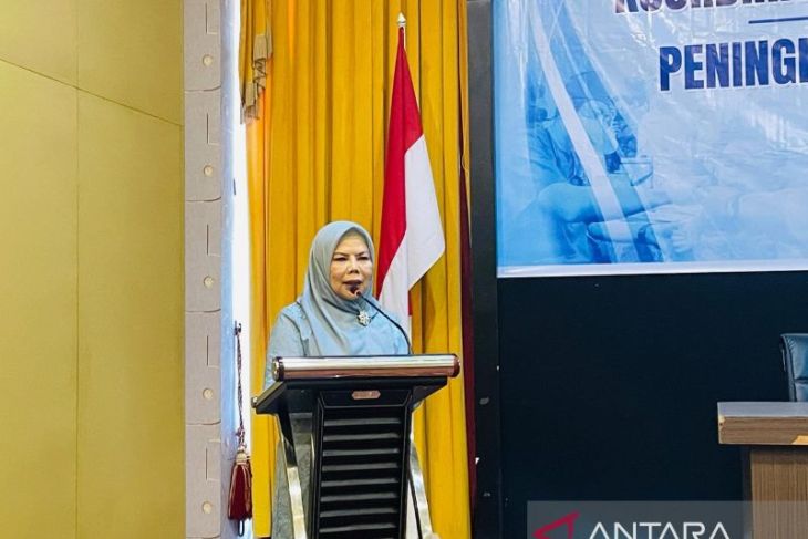 Wagub Gorontalo minta peningkatan standar layanan kesehatan ibu anak