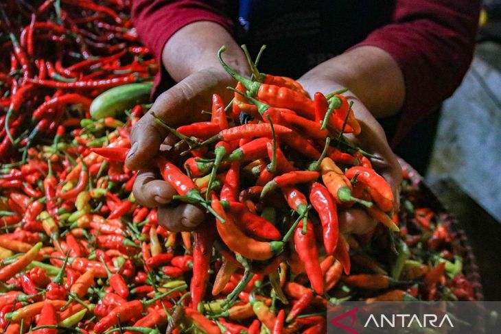 PIHPS: Harga cabai rawit Rp73.900/kg, telur ayam Rp30.850/kg