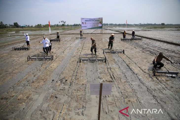 Pupuk Indonesia dukung Gerakan Percepatan Tanam di Sergai