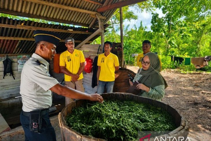 Lapas Namlea produksi minyak kayu putih untuk program pembinaan WBP
