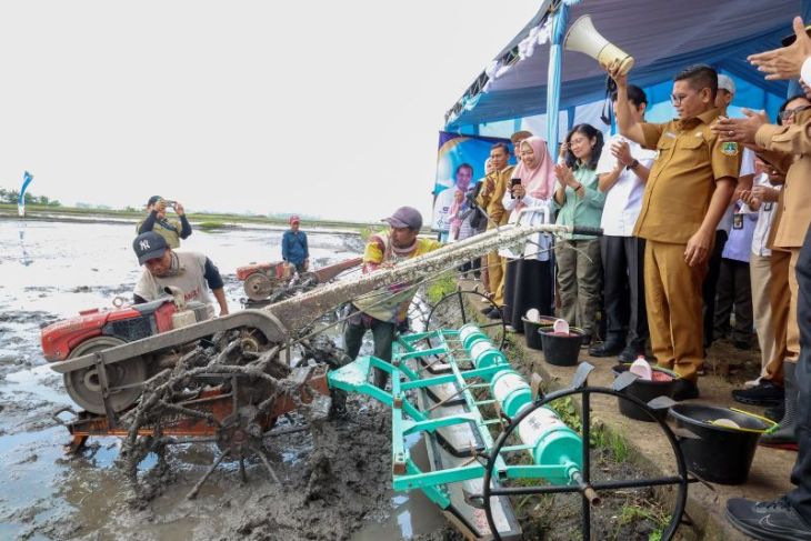 Banten masuk 8 besar produsen beras nasional