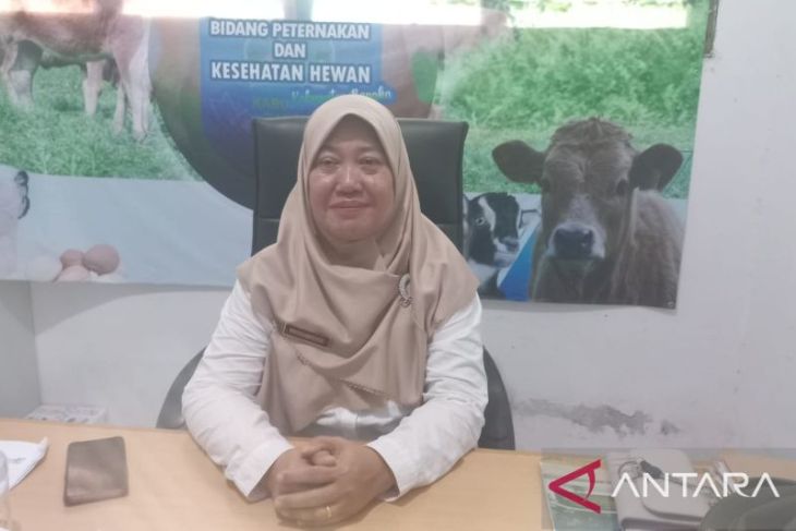 Dinpanpertan Bangka perketat pengawasan kesehatan hewan kurban