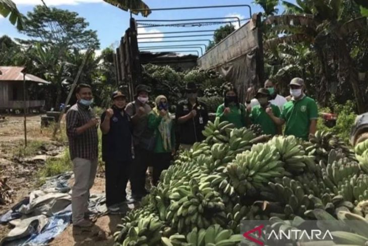 Kaltim kampanyekan diversifikasi pangan lokal hadapi perubahan iklim