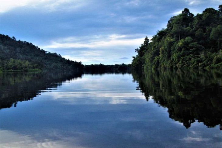 BBTNGL ajak masyarakat lindungi kawasan hutan cegah bencana