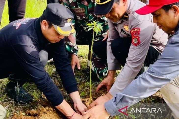 Pemkab Bangli tanam pohon mitigasi rawan longsor