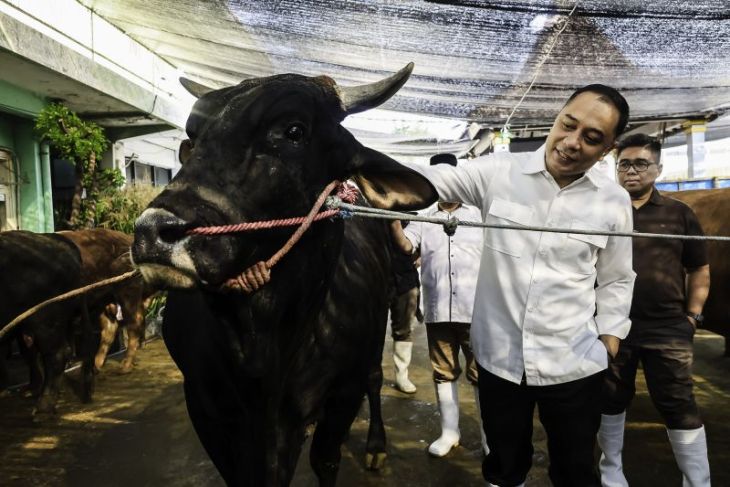 Hewan kurban tak sehat bisa ditolak masuk Surabaya