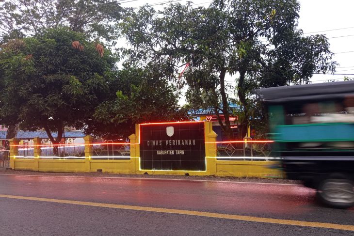 Pemkab Tapin pantau kemunculan ikan sapu-sapu di sungai
