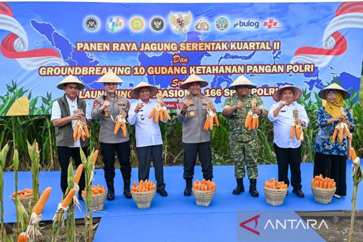 Swasembada pangan, Wagub Surya hadiri panen raya jagung serentak