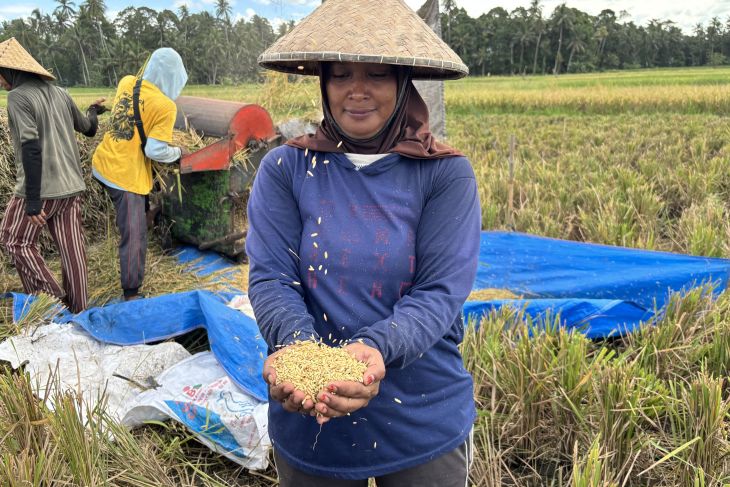 Menjaga detak nadi lumbung padi: Perisai Bulog di tengah pusaran alih fungsi lahan Bali