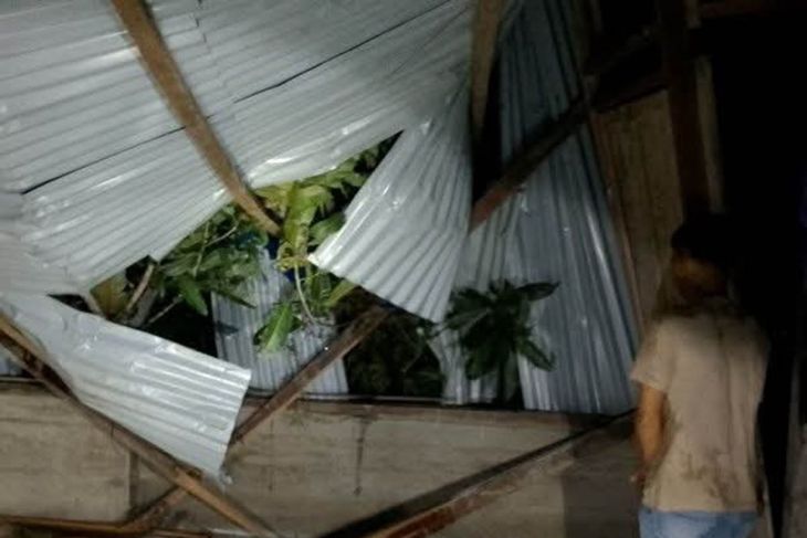 Cuaca buruk, rumah warga di Pulau Simeulue ditimpa pohon mangga