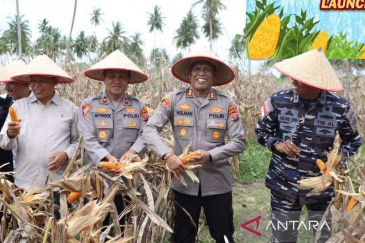 Hasilkan 6 ton, Polres Tanjungbalai panen raya jagung dukung Asta Cita Presiden