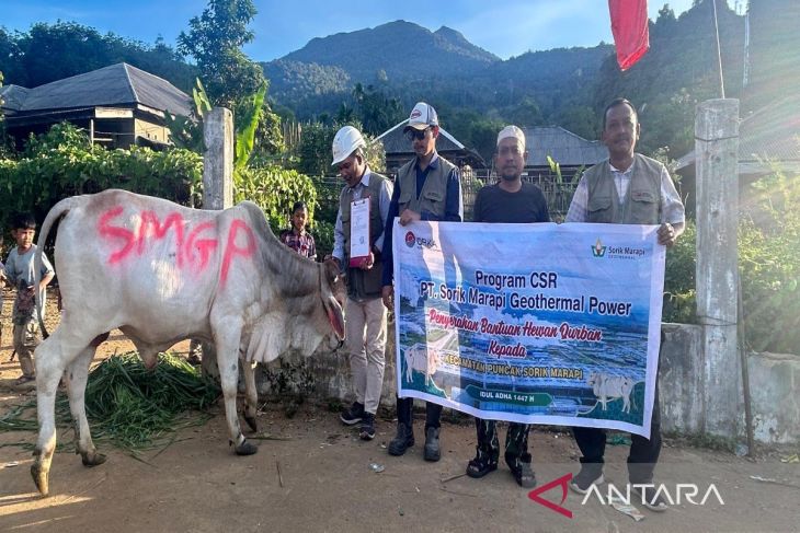 SMGP salurkan 17 hewan kurban di Mandailing Natal pada Idul Adha 1447 H