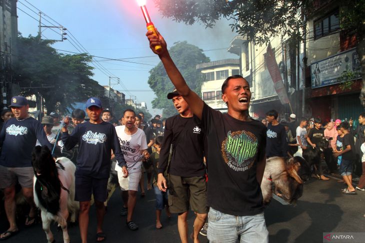 Tradisi pawai hewan kurban di Malang