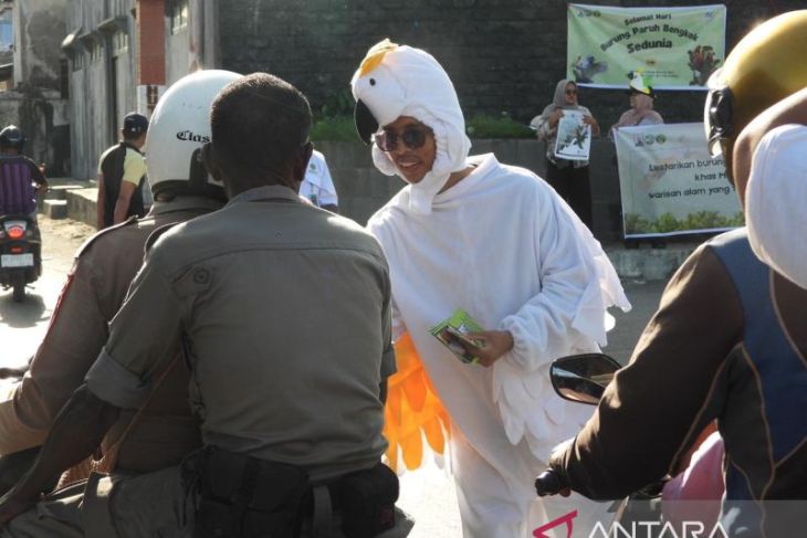 KKI kampanye hentikan perburuan burung paruh bengkok di Aru