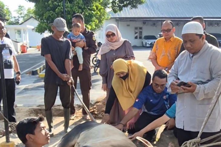 Kejari Sergai sembelih 2 ekor hewan korban