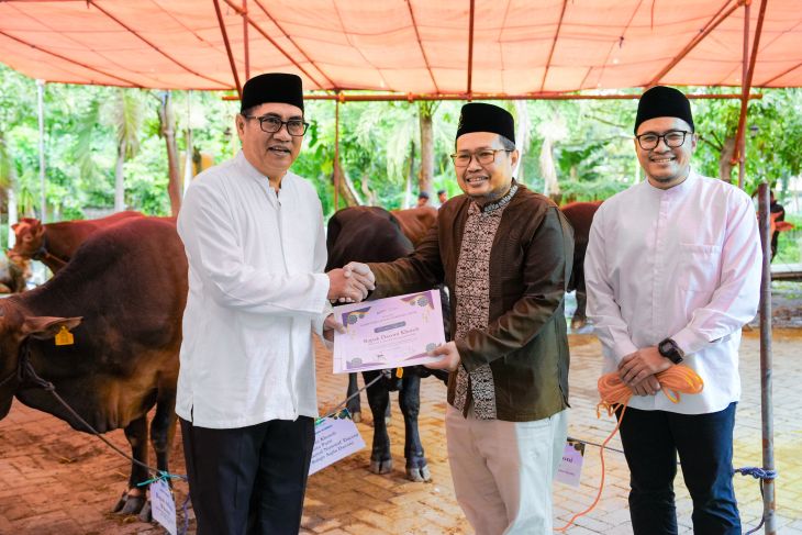 Petrokimia Gresik distribusikan 187 hewan kurban senilai Rp1,8 miliar