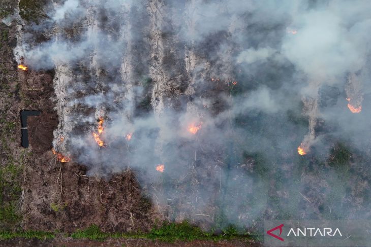 Karhutla Aceh Barat: Antara Bencana & Tanggung Jawab Menjaga Alam