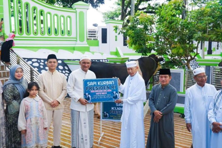 Bupati Hurmin serahkan Sapi bantuan Presiden RI ke masjid al-falah Sarolangun