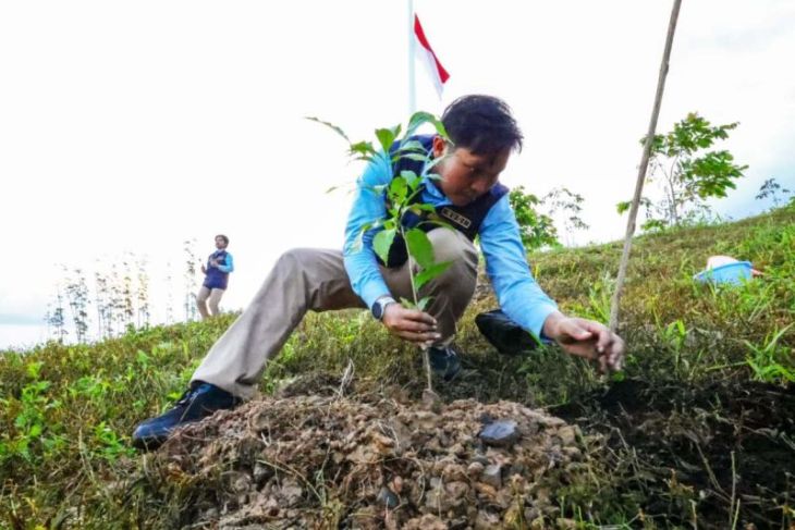 OIKN dan Kemenhut berkolaborasi rehabilitasi lahan eks-tambang jadi hutan produktif