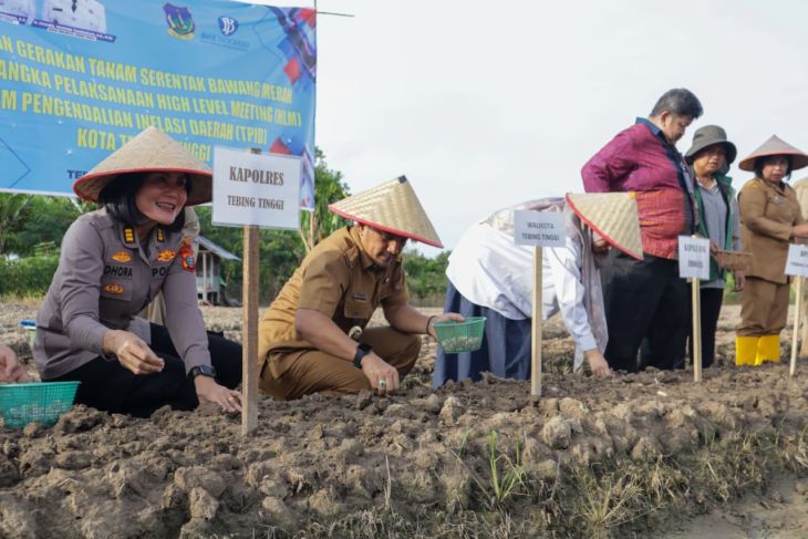 Perkuat ketahanan pangan lokal,  Wali Kota Tebing Tinggi pimpin gerakan tanam bawang