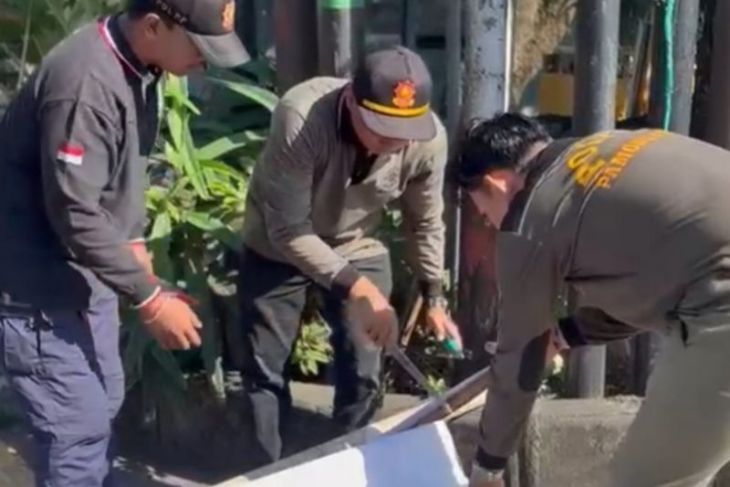 Satpol PP Denpasar tertibkan 139 media promosi ganggu estetika dan fasum