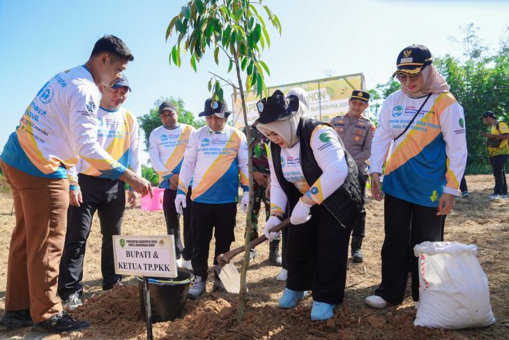 Pemkab Tapin distribusikan 2.200 bibit untuk perkuat ketahanan iklim