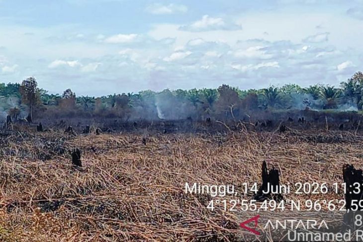 BPBD: Karhutla di Aceh Barat sudah mencapai 34,1 Hektare
