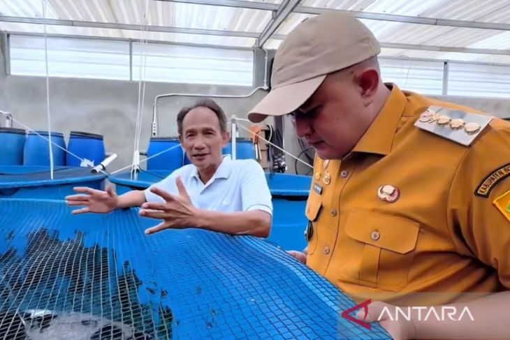 Bupati sebut Yamagen Koi Farm jadi model pengembangan perikanan unggulan di Bogor
