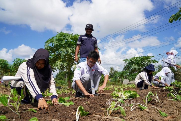 Pelajar Bangka berpetualang mengenal reklamasi PT Timah