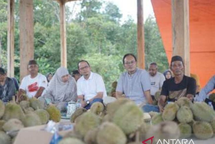 Bangka Tengah kembangkan "kelekak" durian jadi kawasan wisata budaya