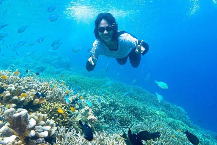 DKP Kaltim genjot potensi ekonomi biru perairan Kepulauan  Derawan